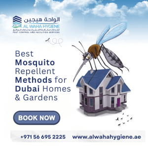 Best Mosquito Repellent Methods for Dubai Homes & Gardens