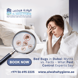 Bed Bugs in Dubai: Myths vs. Facts – What Pest Control Experts Say