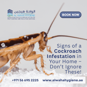 Signs of a Cockroach Infestation in Your Home – Don’t Ignore These!