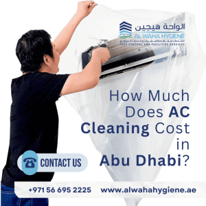 How Much Does AC Cleaning Cost in Abu Dhabi?
