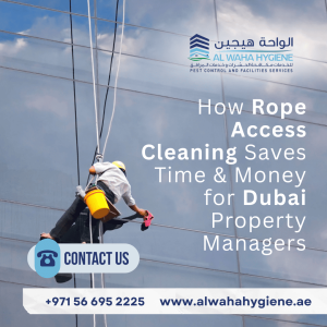 How Rope Access Cleaning Saves Time & Money for Dubai Property Managers