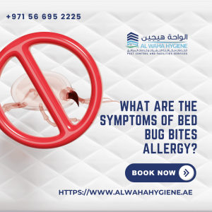 What are the Symptoms of Bed Bugs Bites Allergy?