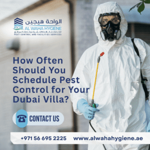 How Often Should You Schedule Pest Control for Your Dubai Villa?