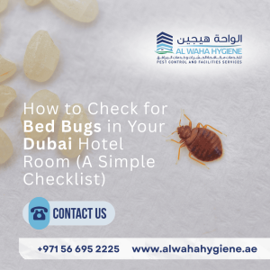 How to Check for Bed Bugs in Your Dubai Hotel Room (A Simple Checklist)