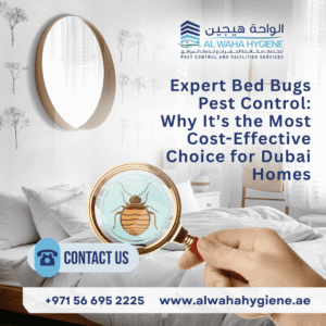 Expert Bed Bugs Pest Control: Why It’s the Most Cost-Effective Choice for Dubai Homes