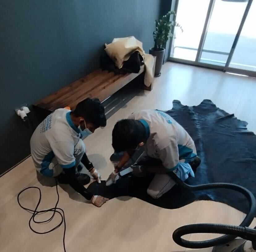 Deep Cleaning Company in Khalifa City