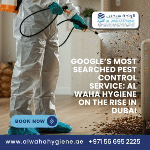 Google’s Most Searched Pest Control Service: Al Waha Hygiene on the Rise in Dubai
