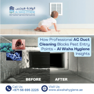How Professional AC Duct Cleaning Blocks Pest Entry Points – Al Waha Hygiene Insights