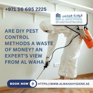Are DIY Pest Control Methods a Waste of Money? An Expert’s View from Al Waha