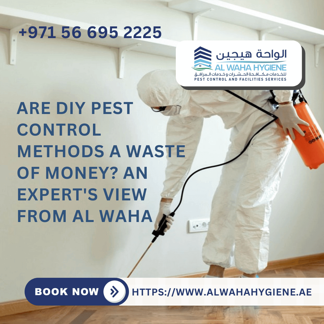 Are DIY Pest Control Methods a Waste of Money? An Expert’s View from Al Waha