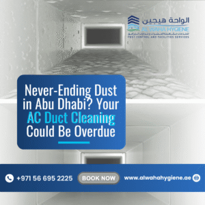 Never-Ending Dust in Abu Dhabi? Your AC Duct Cleaning Could Be Overdue