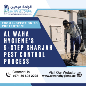 From Inspection to Protection: Al Waha Hygiene’s 5-Step Sharjah Pest Control Process