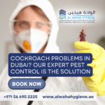 Cockroach Problems in Dubai? Our Expert Pest Control is the Solution
