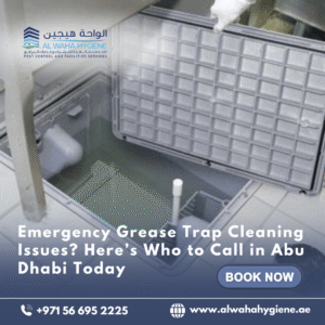Emergency Grease Trap Cleaning Issues? Here’s Who to Call in Abu Dhabi Today