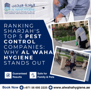 Ranking Sharjah’s Top 3 Pest Control Companies: Why Al Waha Hygiene Stands Out