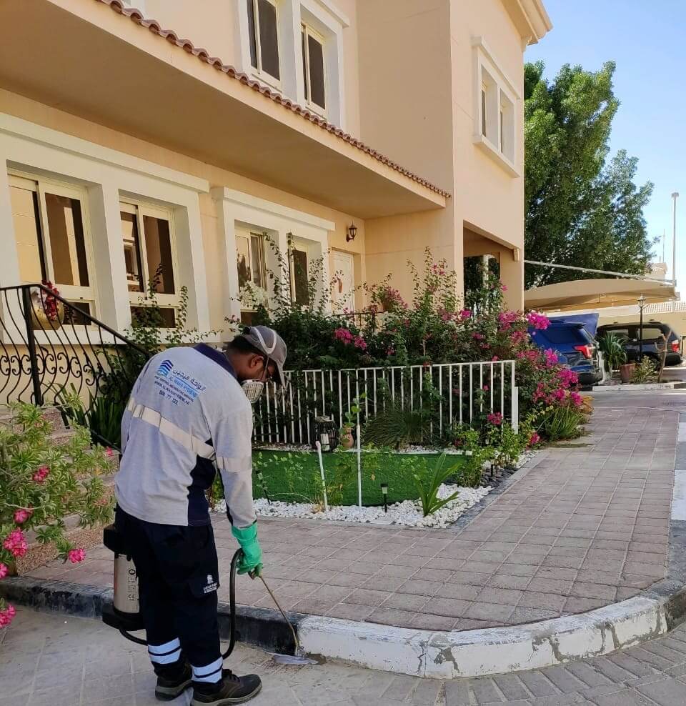 Pest Control Company in Abu Dhabi