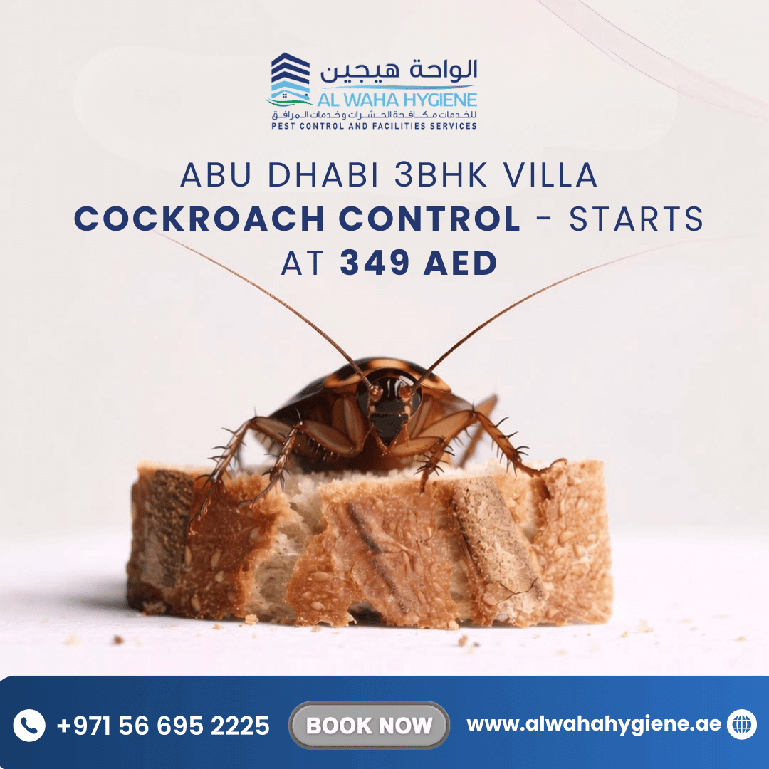 Abu Dhabi 3BHK Villa Cockroach Control – Starts at 349 AED