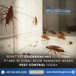 Don’t Let Cockroaches Ruin Your Iftars in Dubai: Book Ramadan-Ready Pest Control Today