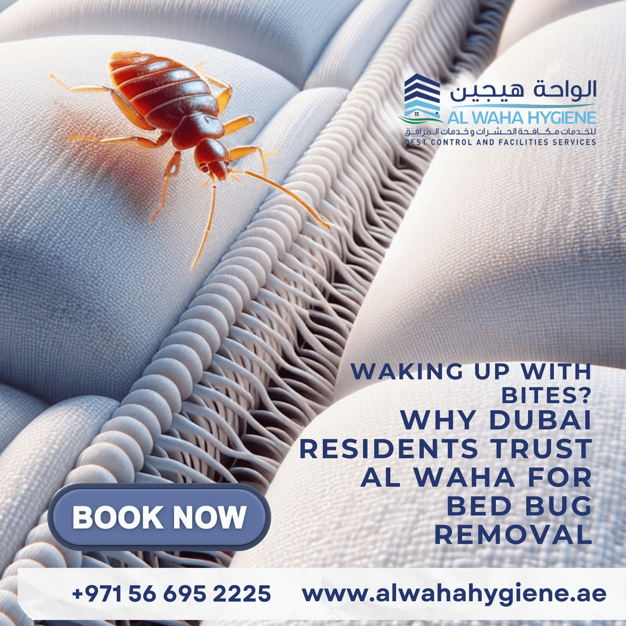 Waking Up with Bites? Why Dubai Residents Trust Al Waha for Bed Bug Removal