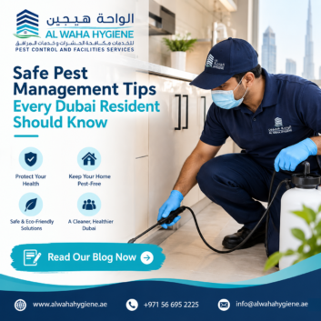 Safe Pest Management Tips Every Dubai Resident Should Know