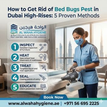 How to Get Rid of Bed Bugs Pest in Dubai High-Rises: 5 Proven Methods