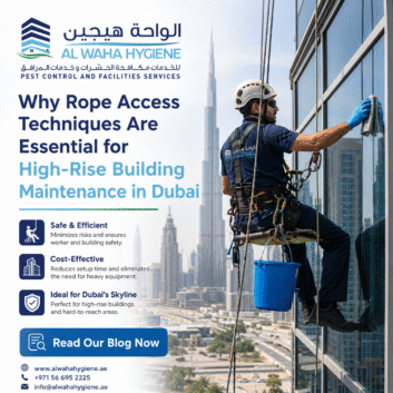 Why Rope Access Techniques Are Essential for High-Rise Building Maintenance in Dubai