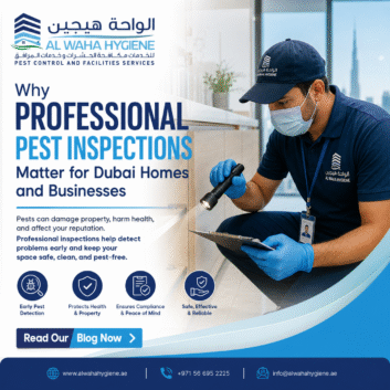 Why Professional Pest Inspections Matter for Dubai Homes and Businesses