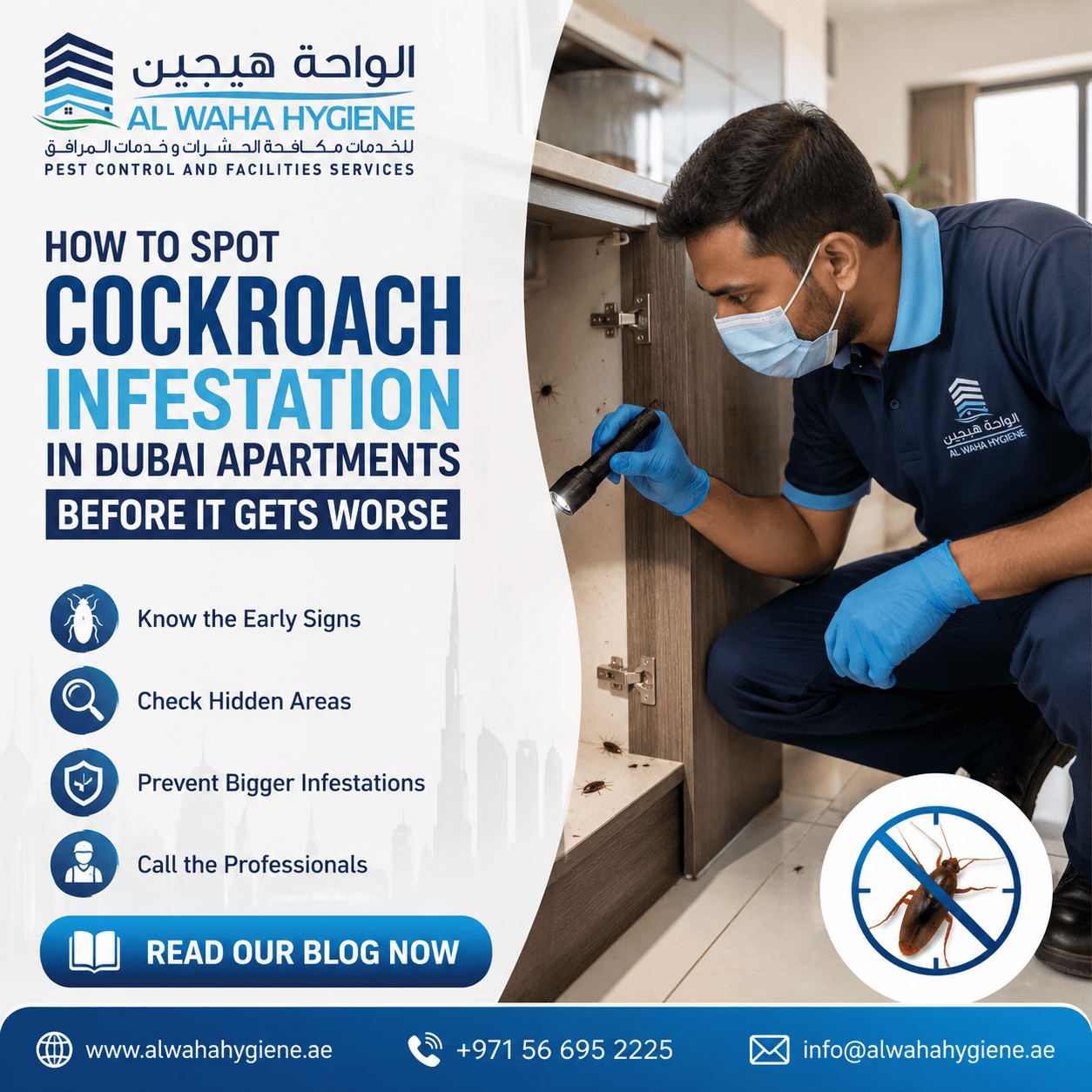 How to Spot Cockroach Infestation in Dubai Apartments Before It Gets Worse