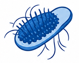 Hair Fall Concerns