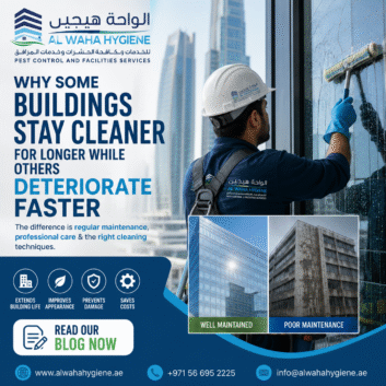 Why Some Buildings Stay Cleaner for Longer While Others Deteriorate Faster
