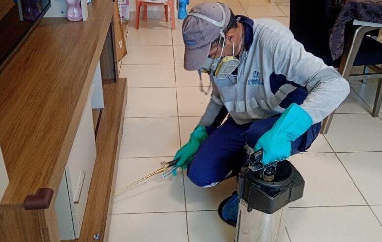 Home Pest Control Services Near You in Dubai