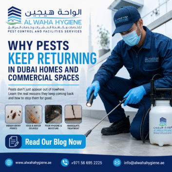 Why Pests Keep Returning in Dubai Homes and Commercial Spaces