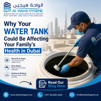 Why Your Water Tank Could Be Affecting Your Family’s Health in Dubai