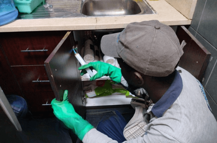 kitchen pest control services Dubai