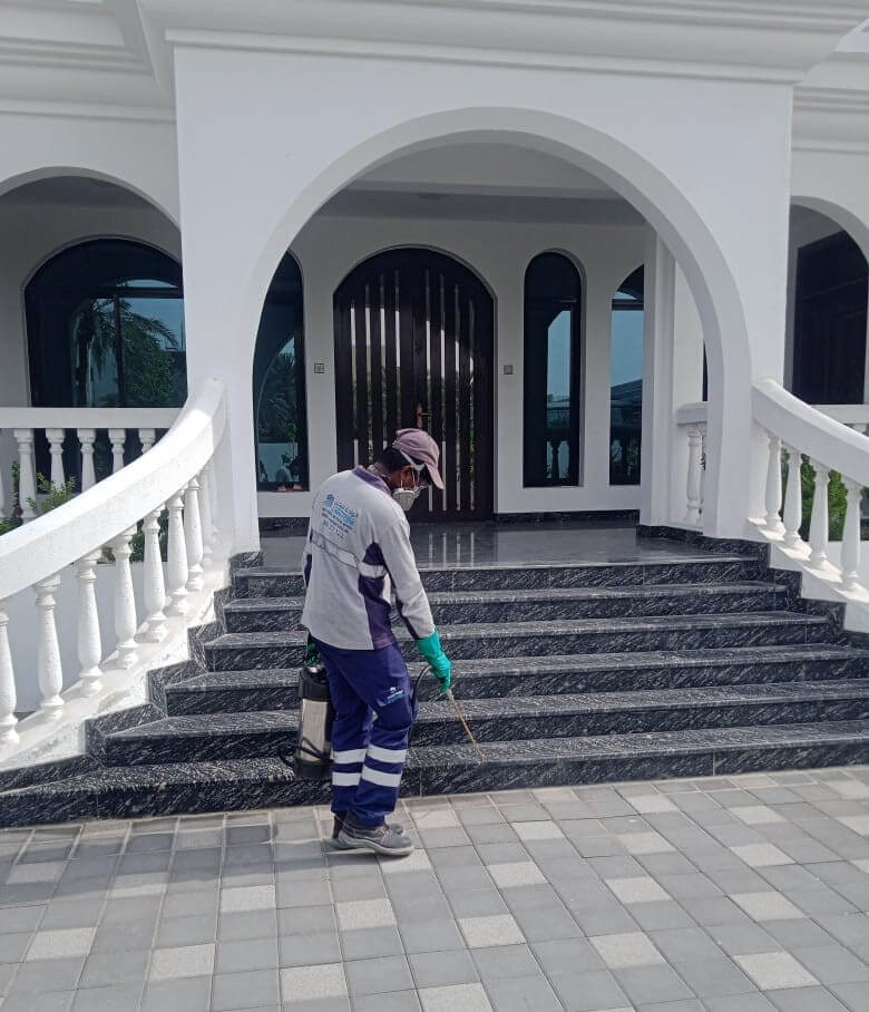 Annual Pest Control Maintenance Contracts (AMC)