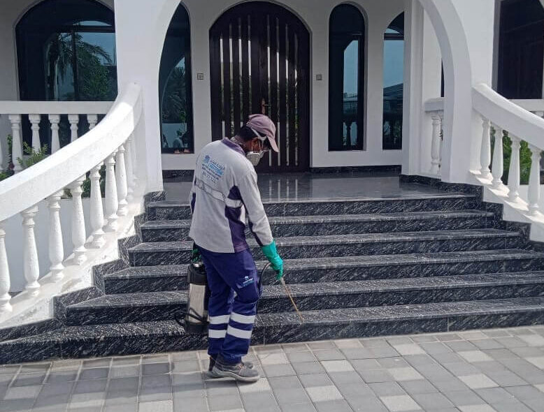 Municipality Approved Pest Control Matters in Dubai