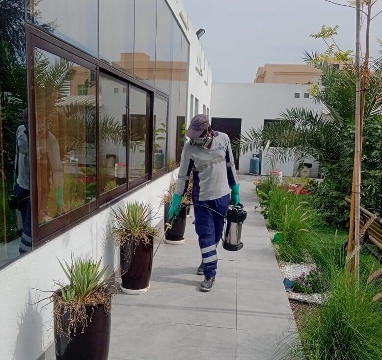Residential Pest Control Services in Dubai