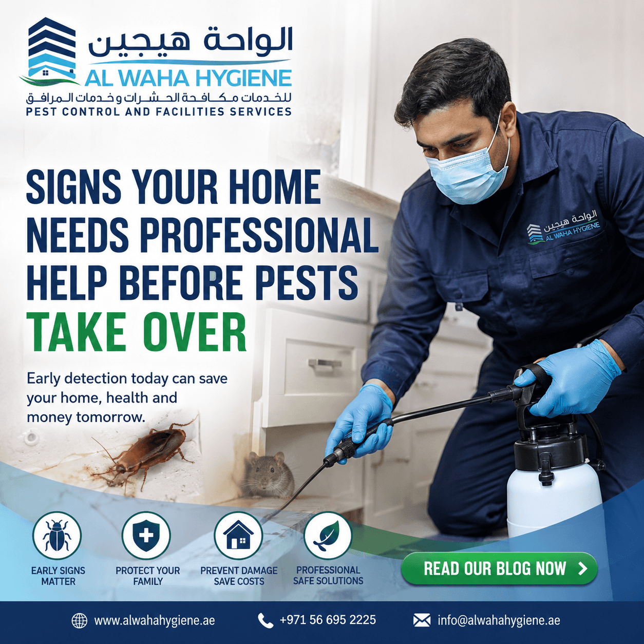 Signs Your Home Needs Professional Help Before Pests Take Over