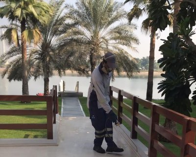 Cockroach Spray Al Waha