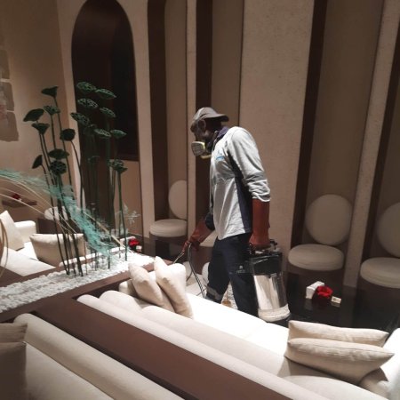 Pest Control Services Dubai