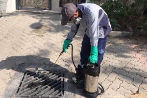 Pest Control Near You