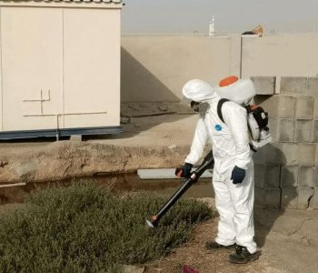 pest control service in abu dhabi