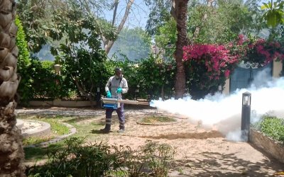 Mosquito Control Services