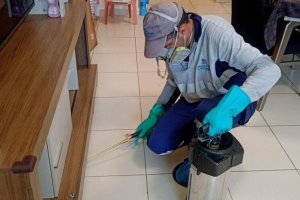 Home pest control treatment being performed by professional indoor pest technician
