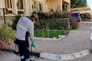 Pest Control Company