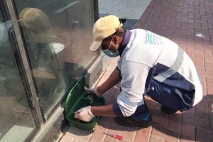 Rodent Control Company in Dubai