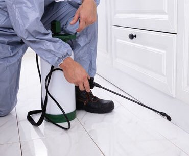 pest-Control