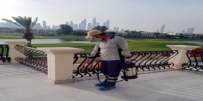 Pest Control Services Dubai