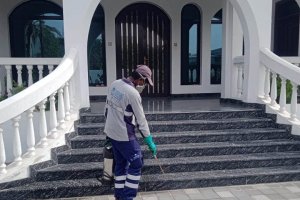 Pest Control Company Dubai