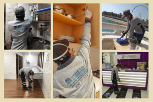Pest Control Dubai